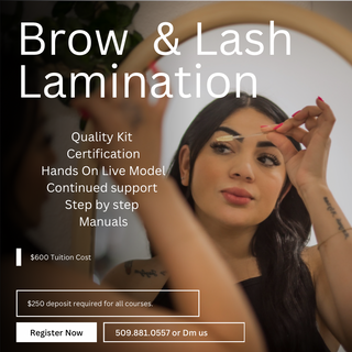 Brow + Lash Lamination Course